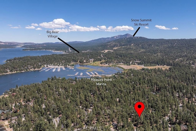 birds eye view of property featuring a forest view and a water and mountain view