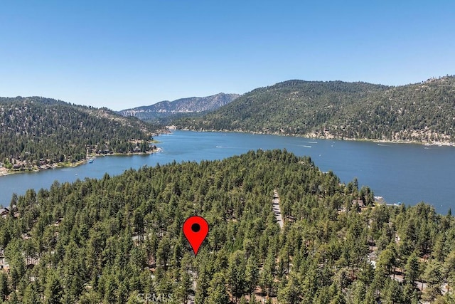 birds eye view of property with a wooded view and a water and mountain view