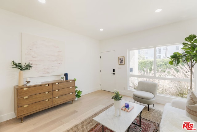 living room with light hardwood / wood-style floors