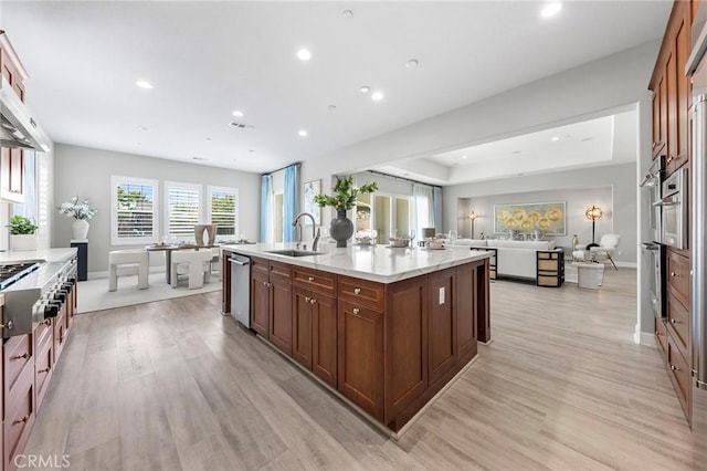 kitchen with stainless steel appliances, a tray ceiling, a kitchen island with sink, sink, and light hardwood / wood-style floors