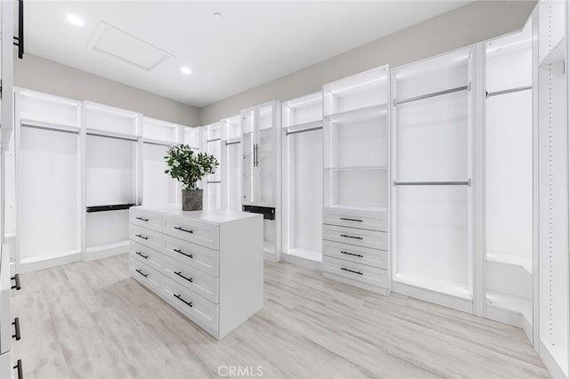 spacious closet featuring light wood-type flooring