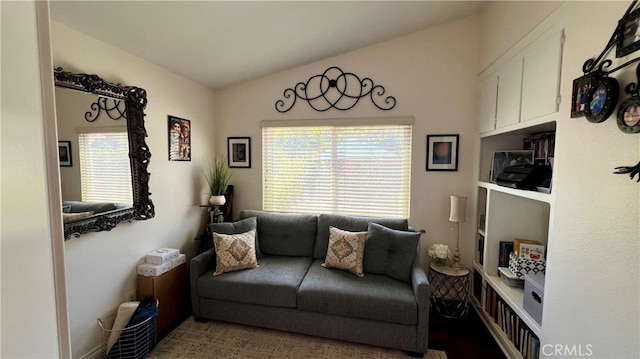 interior space with vaulted ceiling and plenty of natural light