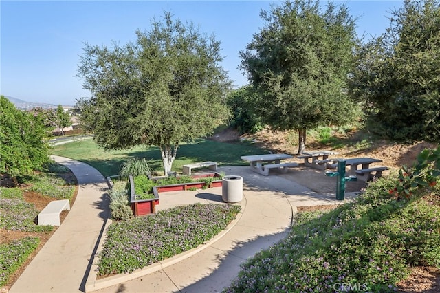 view of community featuring a garden and a lawn