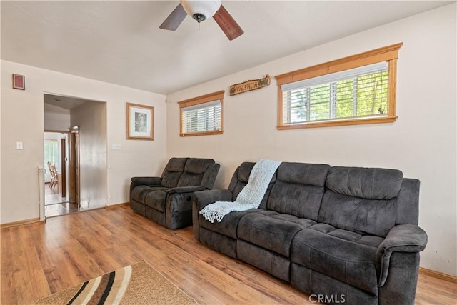 living room with ceiling fan and light wood-type flooring