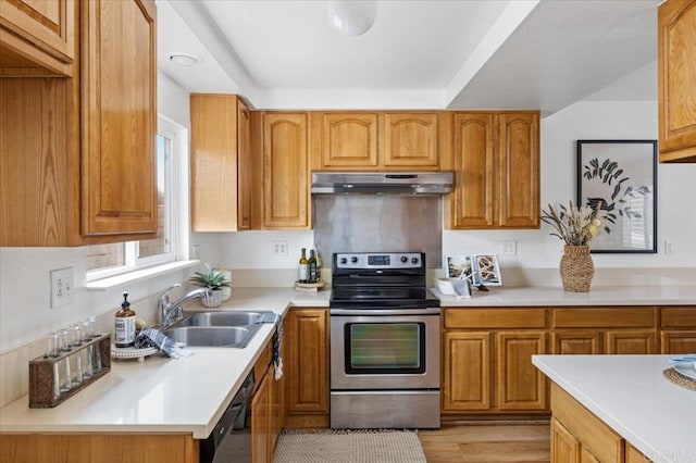 kitchen with dishwasher, light hardwood / wood-style floors, stainless steel range with electric stovetop, and sink