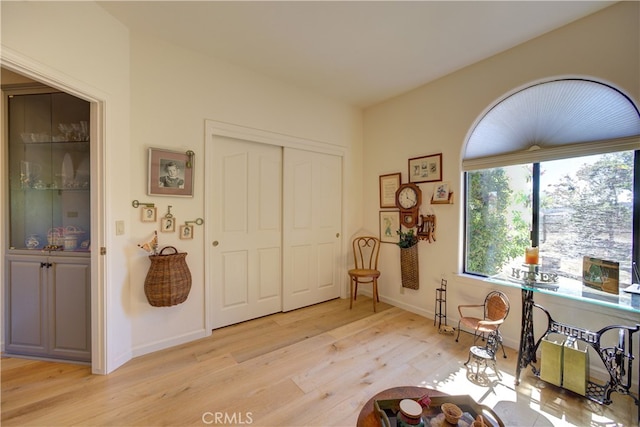 foyer entrance featuring light hardwood / wood-style flooring