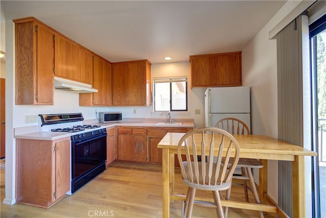 kitchen with light hardwood / wood-style flooring, sink, white fridge, and black gas range