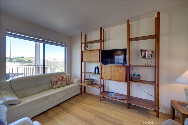 living room with light hardwood / wood-style floors