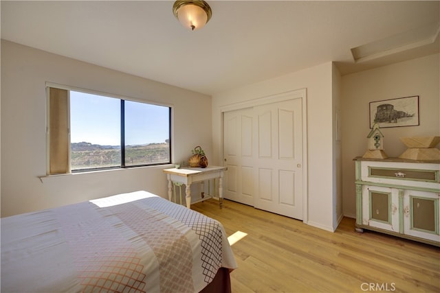 bedroom with a closet and light hardwood / wood-style floors