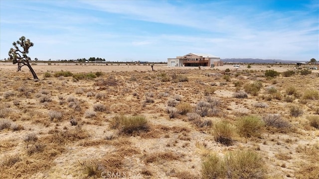 view of local wilderness with a rural view