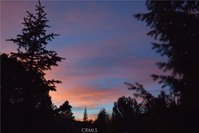 view of nature at dusk