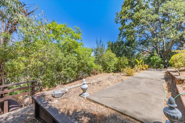 view of yard with a patio area