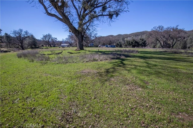 view of yard featuring a mountain view and a rural view