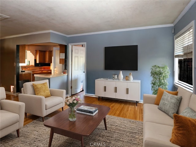 living room featuring light wood-type flooring, a textured ceiling, and ornamental molding