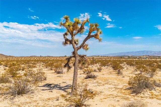2183 Neptune Ave, Joshua Tree, CA 92252 - photo 17
