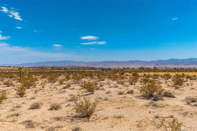 2183 Neptune Ave, Joshua Tree, CA 92252 - photo 10