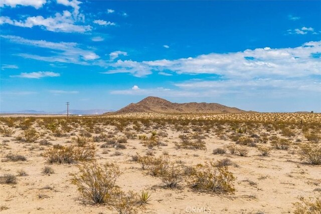 2183 Neptune Ave, Joshua Tree, CA 92252 - photo 11