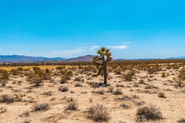 2183 Neptune Ave, Joshua Tree, CA 92252 - photo 5