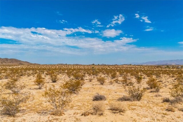 2183 Neptune Ave, Joshua Tree, CA 92252 - photo 18