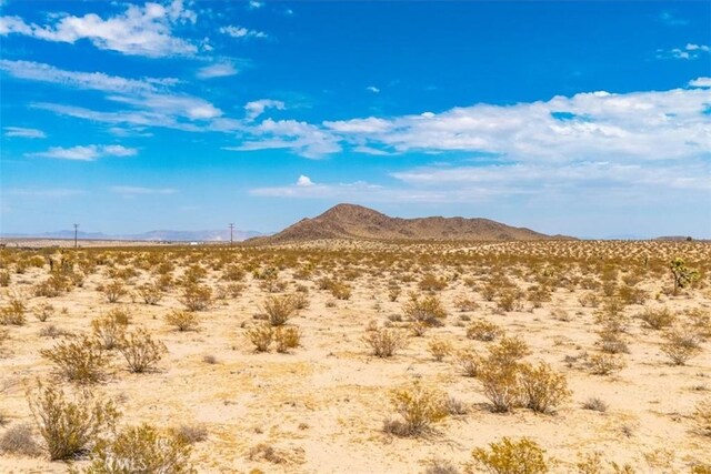 2183 Neptune Ave, Joshua Tree, CA 92252 - photo 19