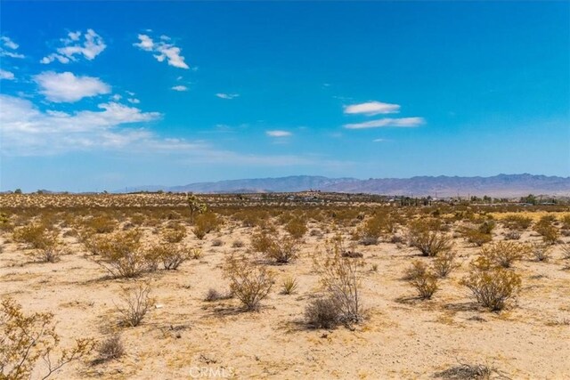 2183 Neptune Ave, Joshua Tree, CA 92252 - photo 9