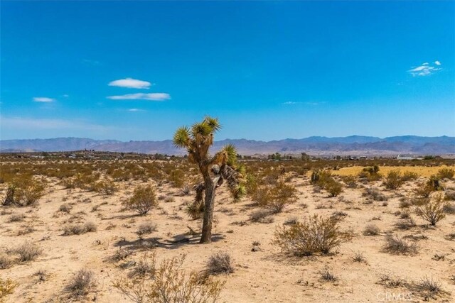 2183 Neptune Ave, Joshua Tree, CA 92252 - photo 6