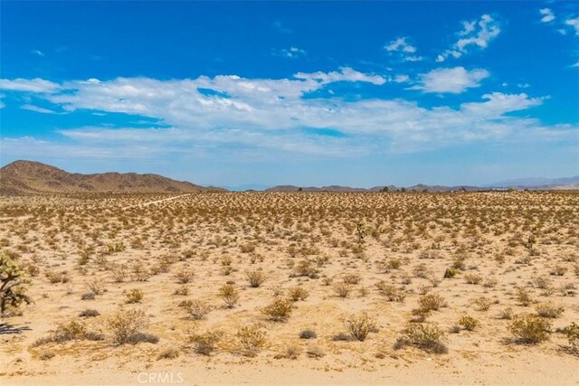 2183 Neptune Ave, Joshua Tree, CA 92252 - photo 20