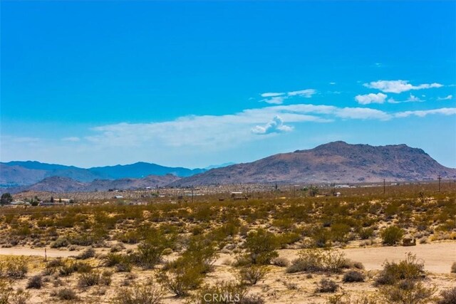 2183 Neptune Ave, Joshua Tree, CA 92252 - photo 16