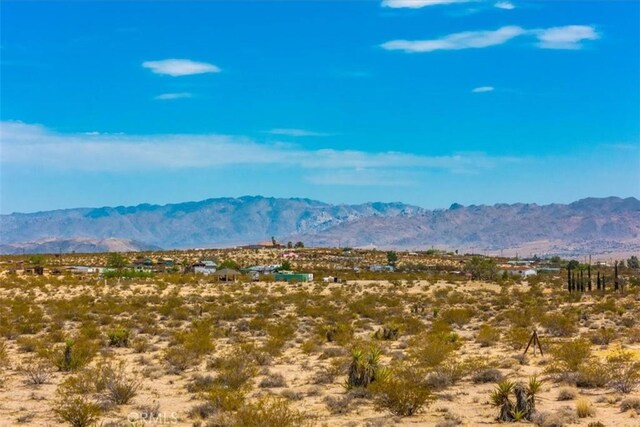 2183 Neptune Ave, Joshua Tree, CA 92252 - photo 14