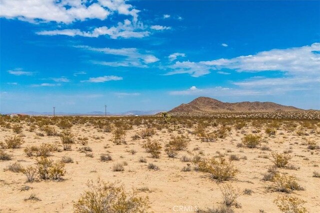 2183 Neptune Ave, Joshua Tree, CA 92252 - photo 7