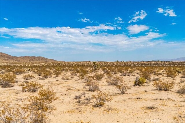 2183 Neptune Ave, Joshua Tree, CA 92252 - photo 8