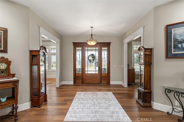 entrance foyer with wood-type flooring