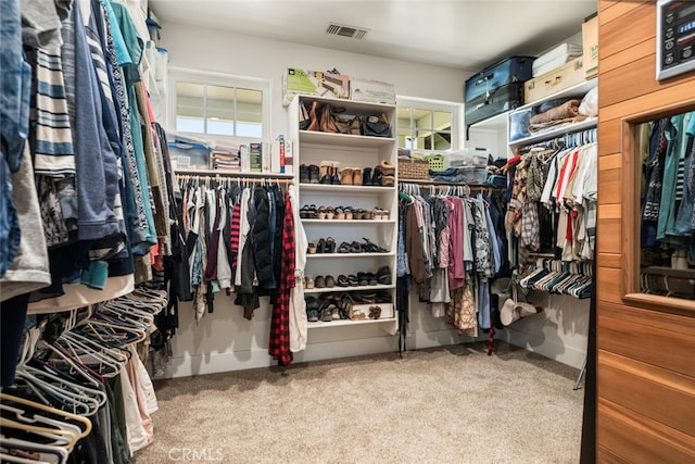 walk in closet featuring visible vents and carpet floors
