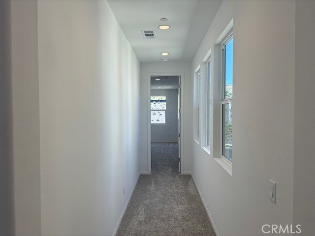 hallway with carpet floors