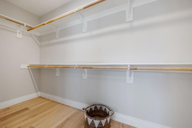 spacious closet with hardwood / wood-style flooring