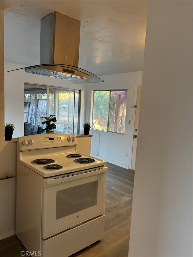 kitchen featuring island range hood, wood-type flooring, and white electric stove