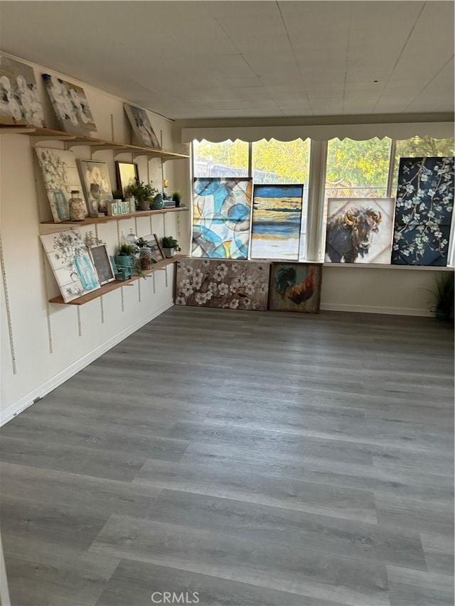 interior space featuring wood-type flooring and a healthy amount of sunlight