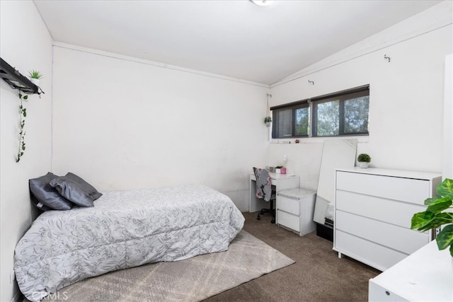 bedroom with carpet floors