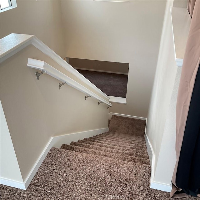 staircase featuring carpet flooring