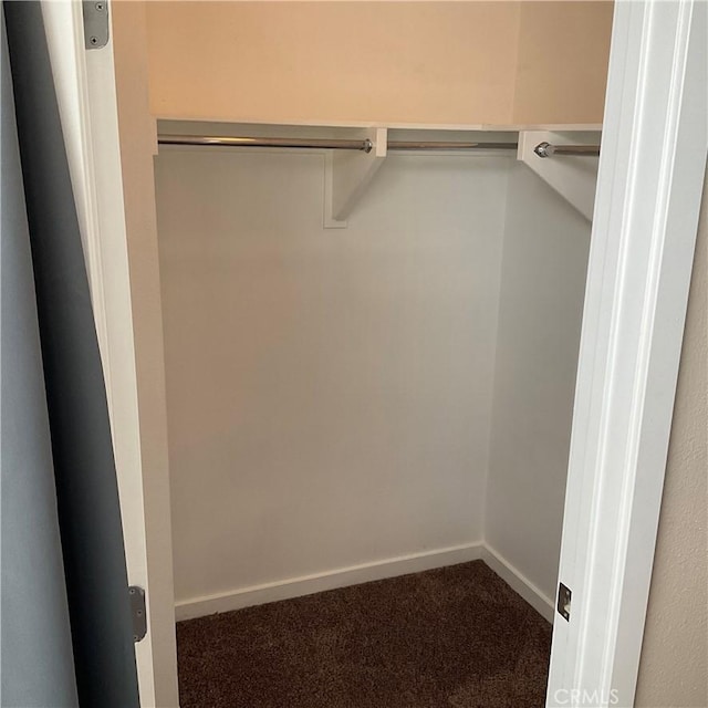 walk in closet featuring carpet flooring