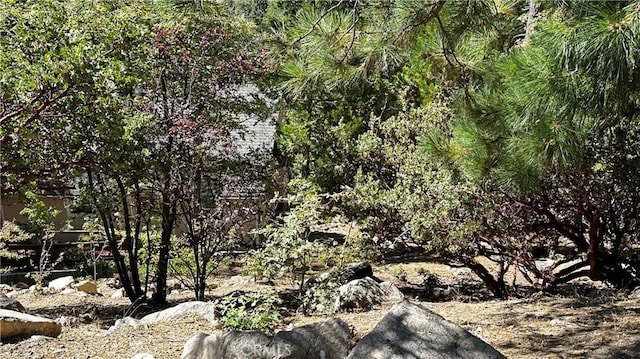 Listing photo 2 for 0 Peninsula Dr, Lake Arrowhead CA 92352