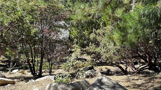 Listing photo 2 for 0 Peninsula Dr, Lake Arrowhead CA 92352