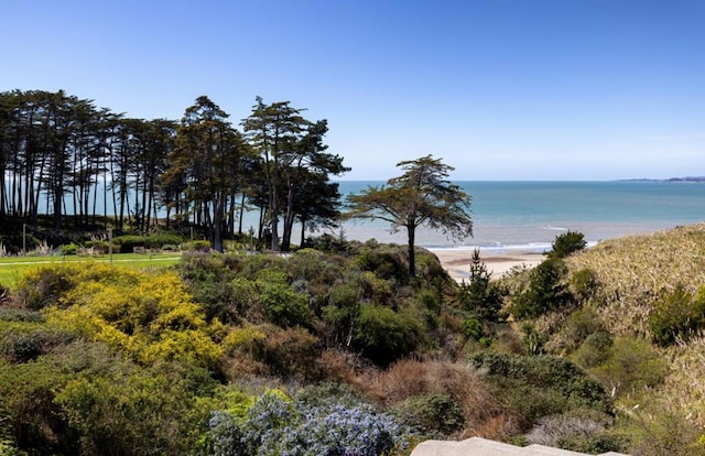 view of water feature with a view of the beach