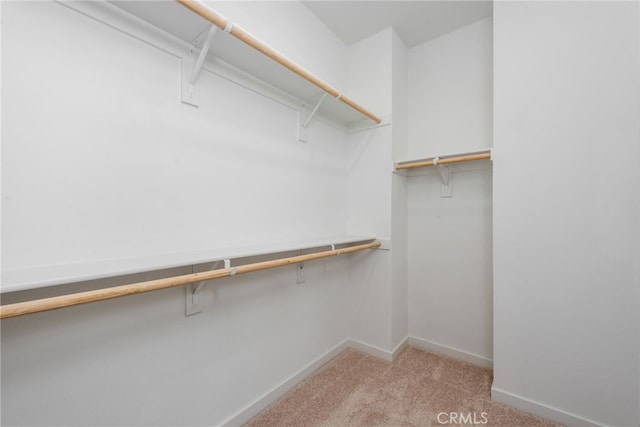 spacious closet featuring light colored carpet