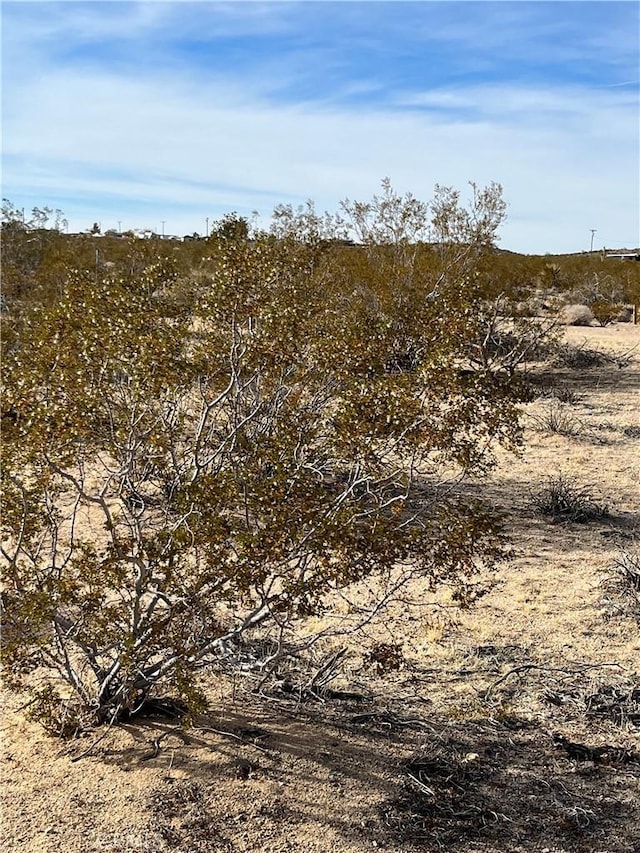 7 Bellflower Rd, Joshua Tree, CA 92252