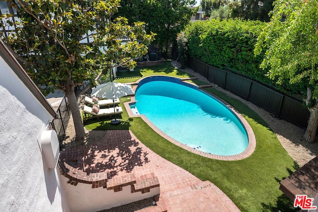 view of pool featuring a patio area