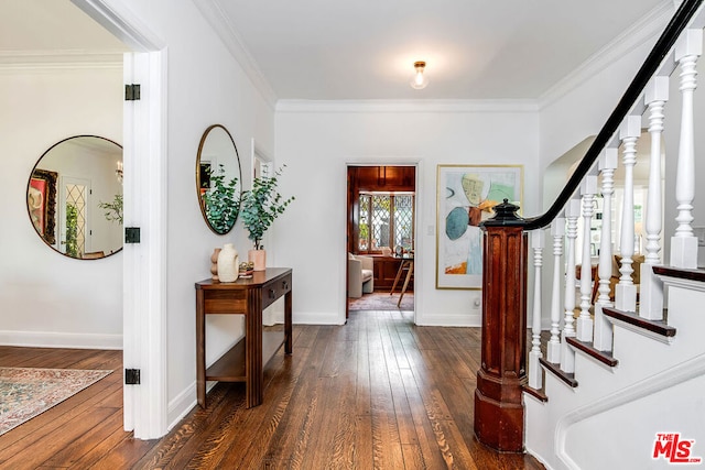 entryway featuring dark hardwood / wood-style floors and ornamental molding