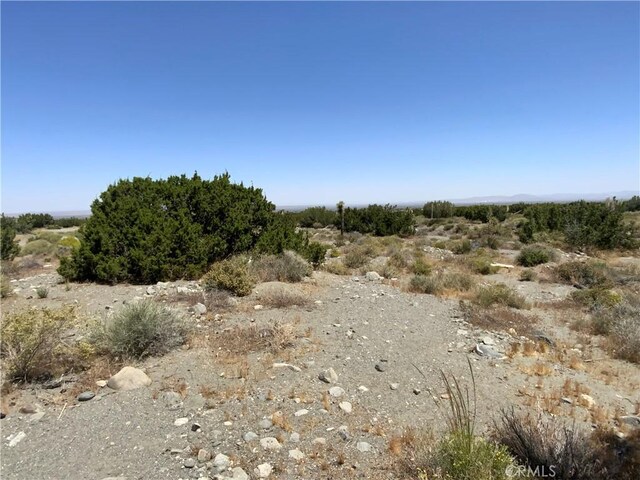 2975 Yucca Terrace Dr, Pinon Hills, CA 92372