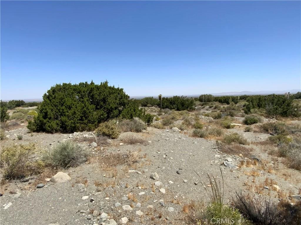 2975 Yucca Terrace Dr, Pinon Hills, CA 92372 - photo 2