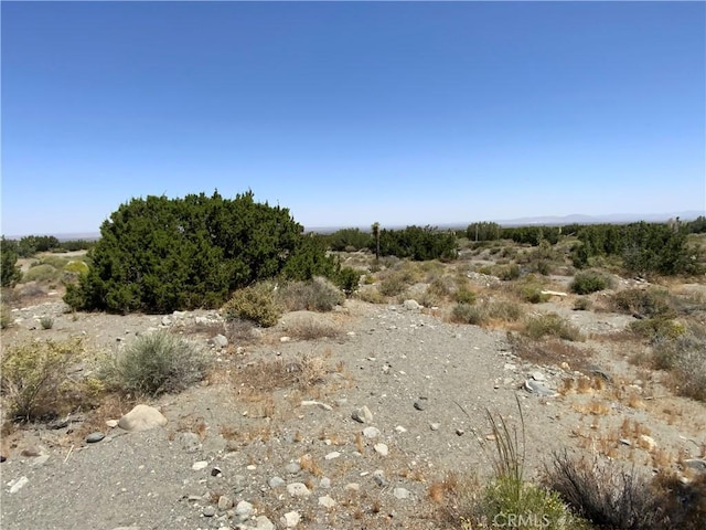 2975 Yucca Terrace Dr, Pinon Hills, CA 92372 - photo 2